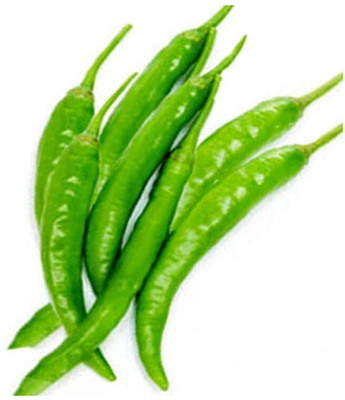 ENINE Hybrid Green Chilli Mirch Gardening Organic Seeds DF417 Seed(150 per packet)