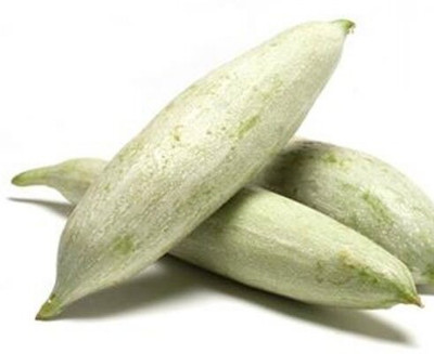Qualtivate HUA-5A Hybrid Snake Gourd Short Seeds Seed(25 per packet)