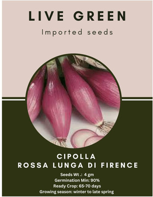 WILLVINE NKR -V Cipolla Rossa Lunga Di Firenze Onion [10g] Seed(7500 per packet)