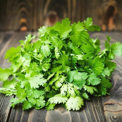 ZIXA Coriander organic Seed(200 per packet)