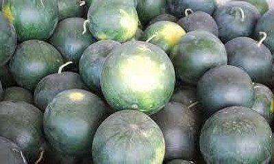 MAA Watermelon, Tarbooz Seed(150 per packet)