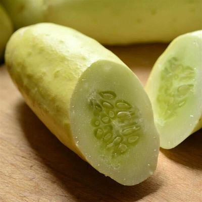 WHYGI English Cucumber Seeds-CuC_1686 Seed(500 per packet)
