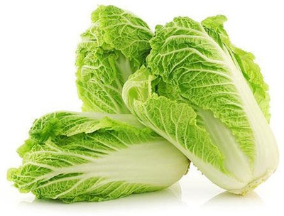 WILLVINE MEH -VII Chinese Cabbage Vegetable Seeds [10g] Seed(3000 per packet)