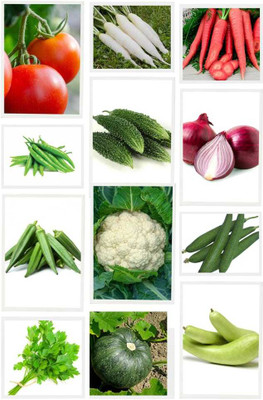 DECORPLIX Green veggies seed combo Seed(70 per packet)