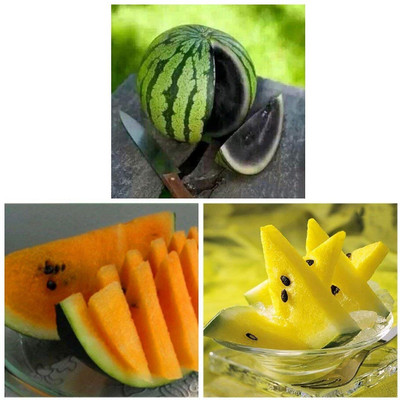 KNESSiN Yellow Black & Orange Watermelon Dwarf Potted Fruit Seeds Combo Seed(50 per packet)