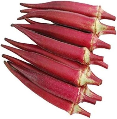 BJUBAS Red ladies finger seeds pack of 39 Seed(39 per packet)