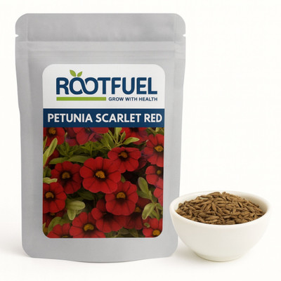 Happy Bazaar Petunia Scarlet Red Seed(5 g)