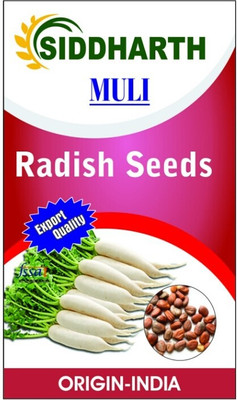 Pbevergreen Radish seeds Seed(105 per packet)