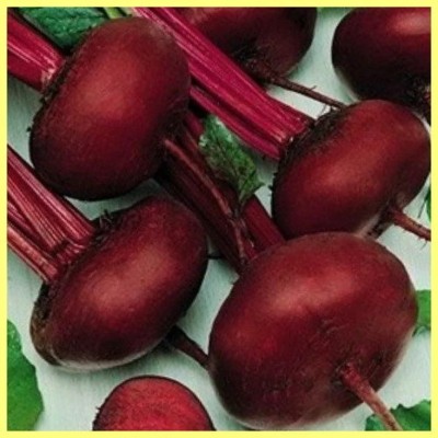 MYLAWN Beetroot Organic Red Ruby Seed(2000 per packet)