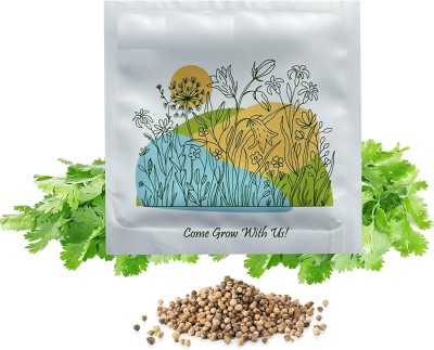 CYBEXIS XLL-18 - Organic Mexican Specialty Cilantro - (750 Seeds) Seed(750 per packet)