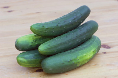 Qualtivate ICRA-3A Salad Bush Slicing Cucumber Seeds Seed(300 per packet)