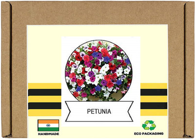 CYBEXIS Petunia Flower Seeds-50 Seeds Seed(50 per packet)