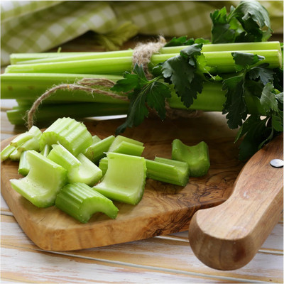 Qualtivate VVI-54 Utah 52-70 Celery Seeds Seed(500 per packet)