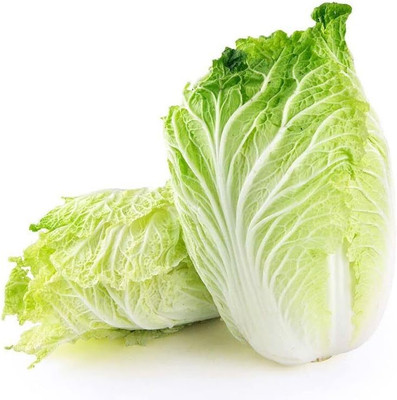 WILLVINE HAR -VIII Chinese Cabbage - Michihli-Heading Cabbage [10g] Seed(3000 per packet)