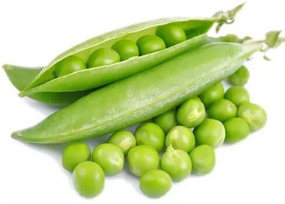 Avysa Green Peas Matar Seed(1000 per packet)