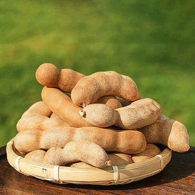 CYBEXIS Tamarind Seeds Sweet Prolific Excellent100 Seeds Seed(100 per packet)