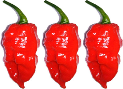 Qualtivate HUA-1A Organic Ghost Pepper - Bhut Jolokia Chilli Seed(300 per packet)