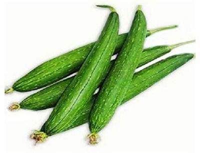 Qualtivate PUAS-5A Sponge Gourd Tori Organic F1 Hybrid Seeds Seed(50 per packet)