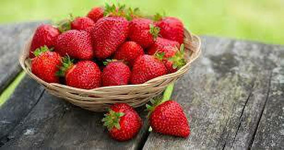 XOLDAA F1 best quality hybrid strawberry Seed(120 per packet)