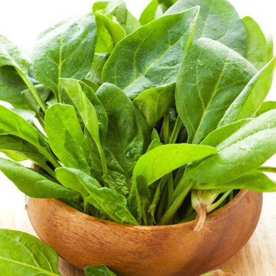 CYBEXIS Disease resistant Spinach Seeds Fresh Green No Pollution1000 Seeds Seed(1000 per packet)