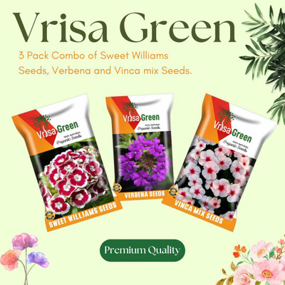 Vrisa Green Combo of Sweet williams, Verbena And Vinca Seed(3 per packet)