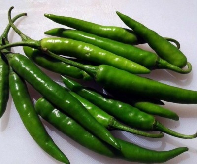 ActrovaX Hybrid Green long Variety Chilli Pepper High Yield [16000 Seeds] Seed(16000 per packet)