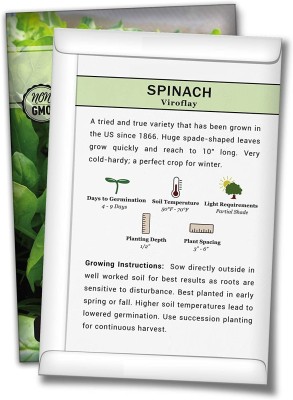 CYBEXIS KGF -20 - Viroflay Spinach for Planting - (2250 Seeds) Seed(2250 per packet)