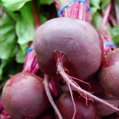 Arshiayat Beetroot seeds vegetable Seed(25 per packet)