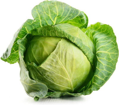 WILLVINE PAU -XI Brunswick Cabbage - Brassica oleracea [50g] Seed(15000 per packet)