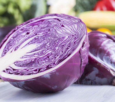 WILLVINE VMR -XIII Purple Cabbage Seeds for Planting [50g] Seed(15000 per packet)