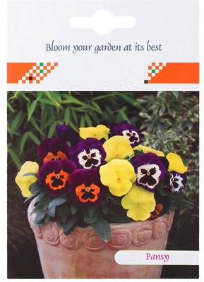 CYBEXIS Pansy Mix Seeds Seed(50 per packet)
