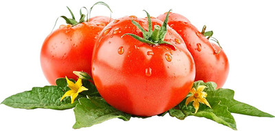 CYBEXIS Grow Your Own Red Tomato Seeds 1000 Seeds Seed(1000 per packet)