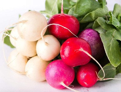 CYBEXIS LX-47 - Radish Rainbow Mix - (2250 Seeds) Seed(2250 per packet)