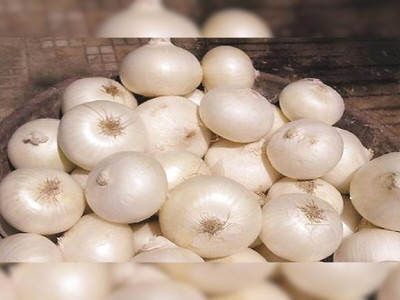 Mozette Organic Onion white Seed(40 per packet)