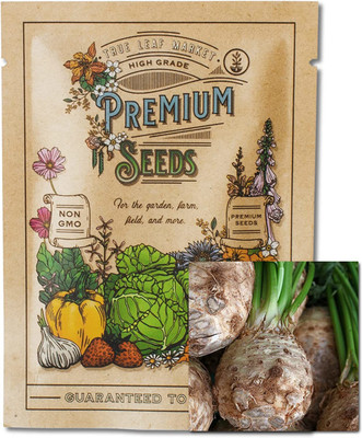 VibeX LX-30 - Giant Prague Celeriac - (750 Seeds) Seed(750 per packet)