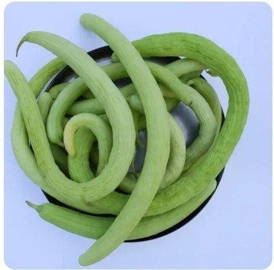 Quentova Long Cucumber Seeds-SD-100-X3-QLTY-4K Seed(300 per packet)