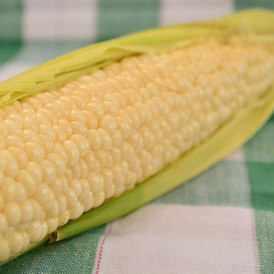 Qualtivate HUA-3A Country Gentleman Sweet Corn Seeds Seed(400 per packet)
