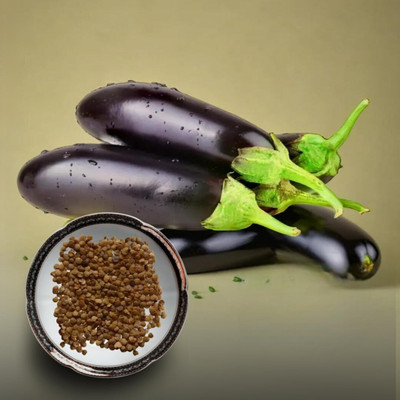 LPR BRINJAL SEEDS Seed(30 per packet)