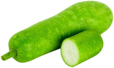 VibeX KGF -3 - Bottle Gourd Long Vegetable - (900 Seeds) Seed(900 per packet)