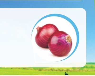 VibeX ONION Seed(2000 per packet)