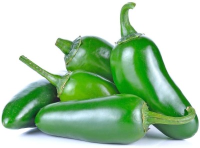 CYBEXIS Jalapeno Chilli Pepper Seeds1200 Seeds Seed(1200 per packet)