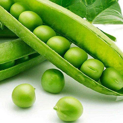 VibeX ® VMR-548 Green Peas Seeds - Heirloom Seed(50 per packet)