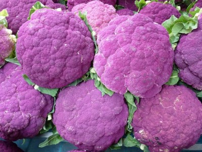 Farmers Choice Purple cauliflower Gobi Seed(250 per packet)