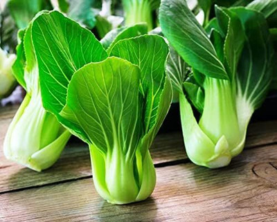 WILLVINE MAH -X Pak Choi Seeds/Chinese Cabbage [10g] Seed(3000 per packet)