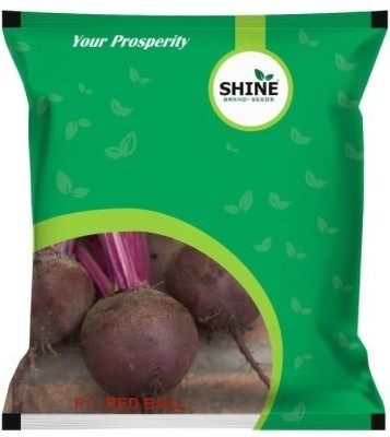 SHINE BRAND SEEDS Beet Root F1 Red Ball Nurturing Health Seed(50 g)