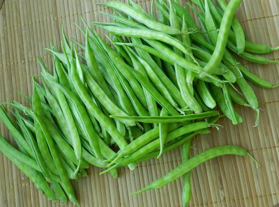 XOLDA Cluster beans vegetable Seed(49 per packet)