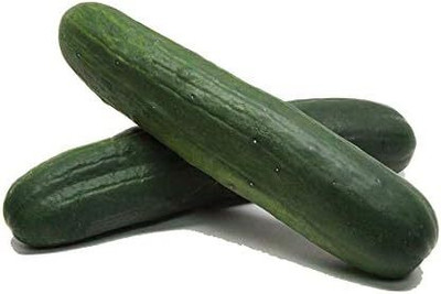 Qualtivate PUA-9A Cobra Cucumber Seeds Seed(300 per packet)