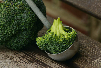 WILLVINE XLL-343 Destiny Hybrid Broccoli Seeds Seed(200 per packet)