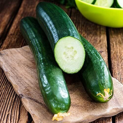 Qualtivate PUAS-3A English Cucumber European Seed(300 per packet)