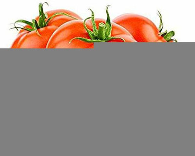 KANAYA Italian Red Cherry Tomato Vegetable Seed(600 per packet)
